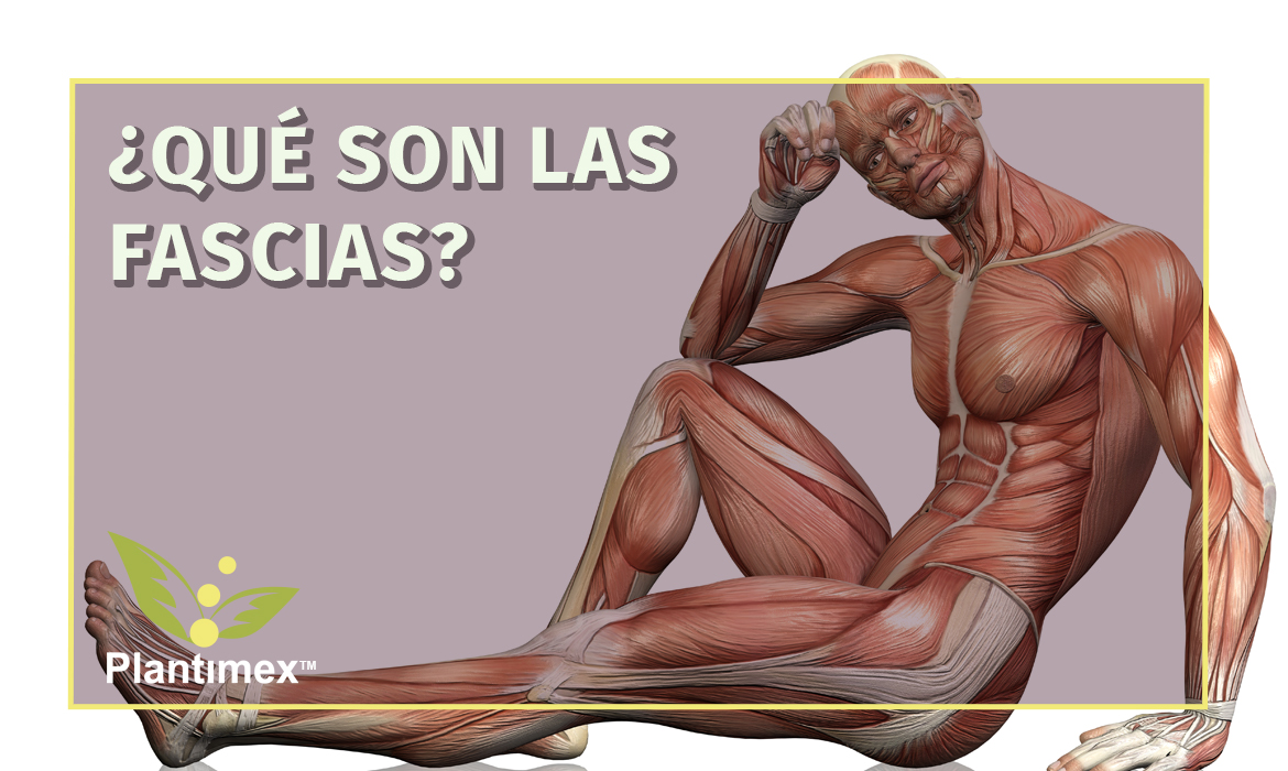 Las fascias del cuerpo