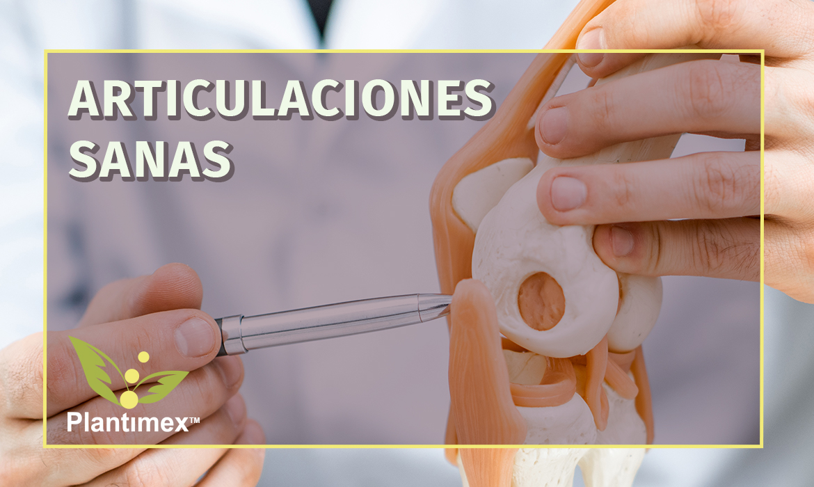 3 alimentos para mantener tus articulaciones sanas 