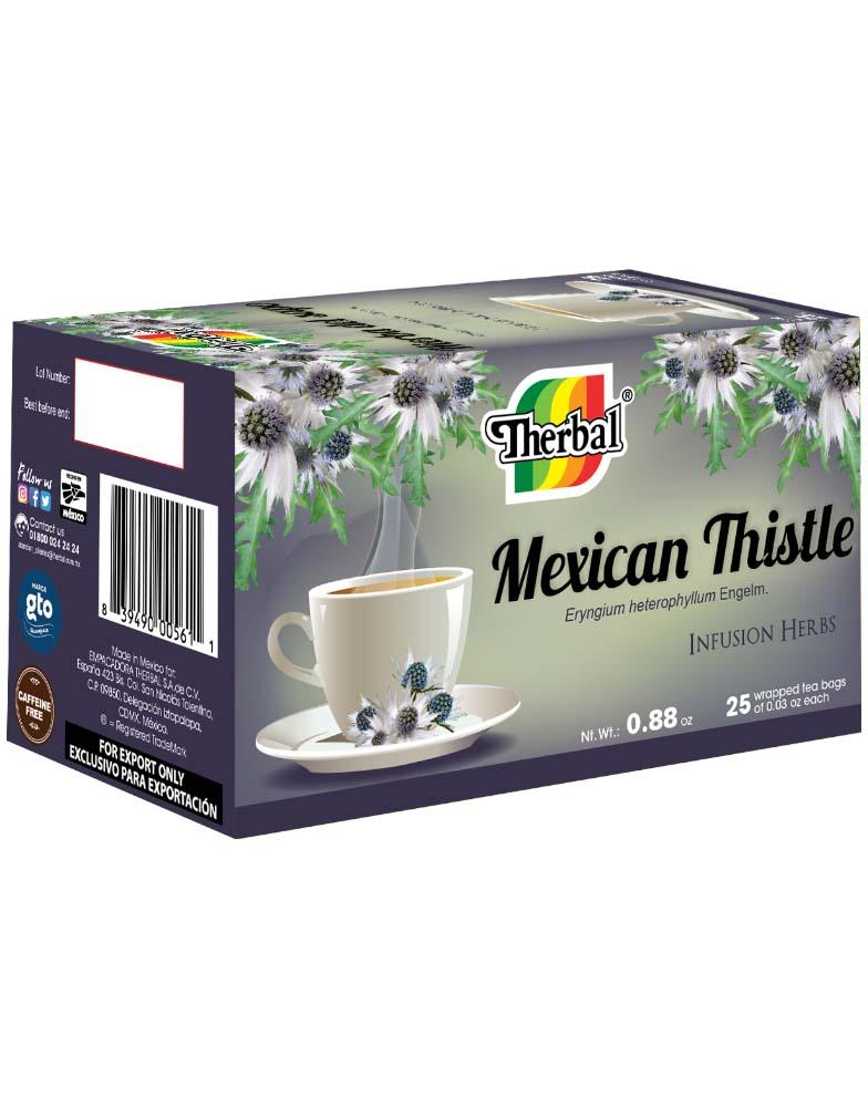 HIERBA DEL SAPO / MEXICAN THISTLE